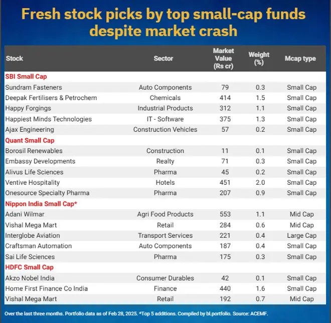 New stocks bought by smallcap funds